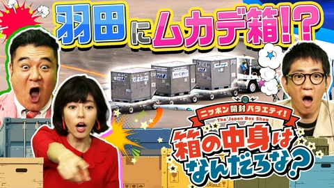 ニッポン開封バラエティ！箱の中身は何だろな？ ニッポン開封バラエティ！箱の中身は何だろな？