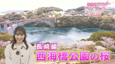 桜前線2026 全国キャスターリレー！ ～伝えたい！ふるさとの桜スポット～ 長崎編「西海橋公園の桜」