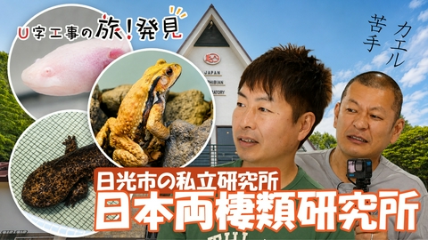 U字工事の旅！発見 日本両棲類研究所