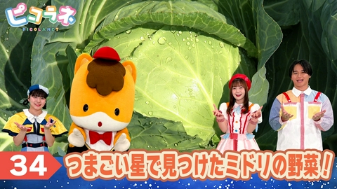 ピコラネ Episode34 つまごい星で見つけたミドリの野菜！