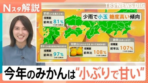 TBS NEWS DIG Powered by JNN みかんの季節到来！今年は小玉で糖度が高い【Nスタ】