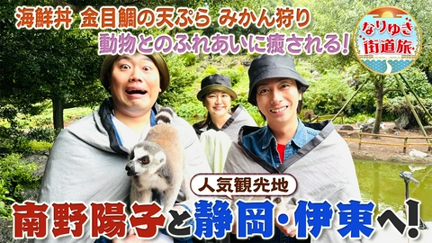 なりゆき街道旅 南野陽子と人気観光地・静岡県 伊東の旅！