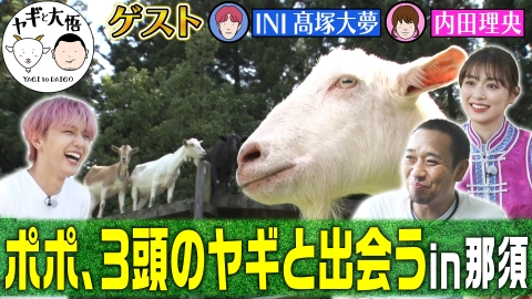 やぎとやすお ヤギと大悟 7月28日(金)放送分 那須編＃3 ヤギ、ヤギに会いに行く