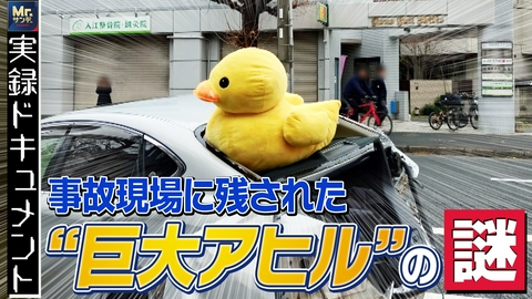 Mr.サンデー なぜこんなところに！？事故現場に巨大アヒル