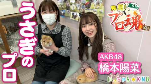 はるpyonの発見！富山のプロ魂(仮) AKB48はるpyon×うさぎのプロ