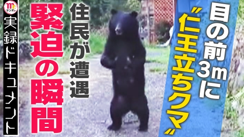 実録ドキュメント Mr.サンデーpresents 目の前3m！緊迫映像“仁王立ちクマ”鉢合わせ