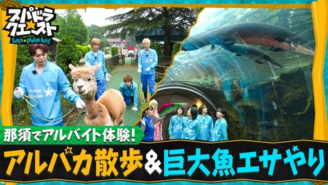 スパドラ★クエスト スパドラが那須で人生初アルバイト体験ロケ！