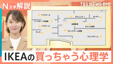 TBS NEWS DIG Powered by JNN IKEA ついつい買っちゃう心理学【Nスタ】