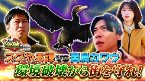 THE突破ファイル 冬にウマいアレで心臓発作!?人体ミステリー▼社会問題化!カワウ撃退法