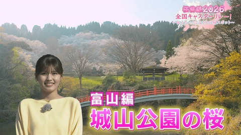 桜前線2026 全国キャスターリレー！ ～伝えたい！ふるさとの桜スポット～ 富山編「城山公園の桜」