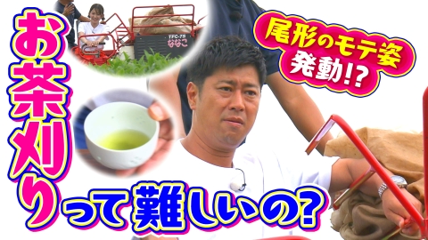 知りたーいジョブズ～その仕事いくら稼げるの？～ 7月31日(木)放送分