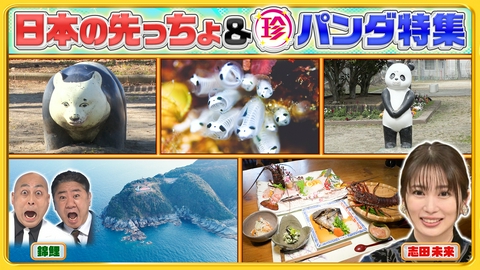 ナニコレ珍百景 パンダロス解消!?全国の珍パンダ特集＆半島の先っちょ大調査SP