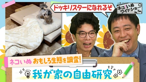 ネコいぬワイドショー 我が家のネコいぬ自由研究　噂の真相を徹底検証！/世界自然遺産・奄美大島で大繁殖。希少種を脅かす「ノネコ問題」のいま