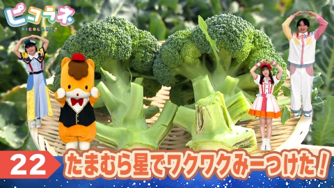 ピコラネ たまむら星でワクワクみーつけた！