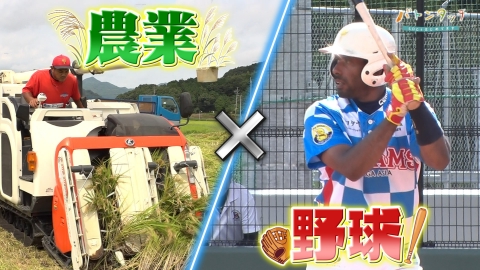 バトンタッチ　SDGsはじめてます 野球と農業の二刀流！ 「佐賀アジアドリームズ」のみなさん