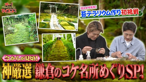 オー！マイゴッド！私だけの神様、教えます 鎌倉でもののけ姫探し 知られざる苔の世界