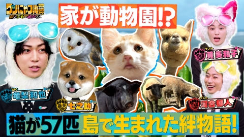 テレビ puppy 世界を救う！ワンにゃフル物語～柴と三毛と亀梨くん～ 8月13日(水)放送