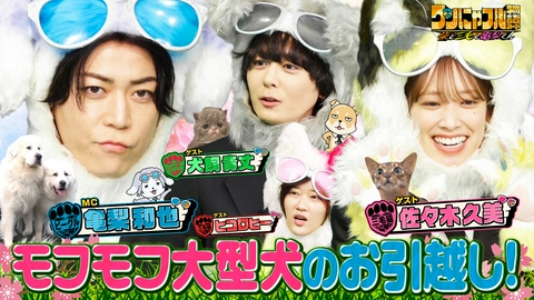 世界を救う！ワンにゃフル物語～柴と三毛と亀梨くん～ MC：亀梨和也！春のモフモフ祭★保護大型犬！6匹大家族＆くるくる毛猫