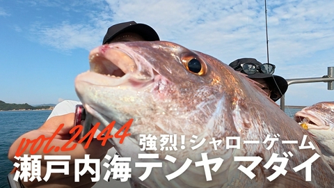 THEフィッシング 強烈！シャローゲーム 瀬戸内海テンヤマダイ