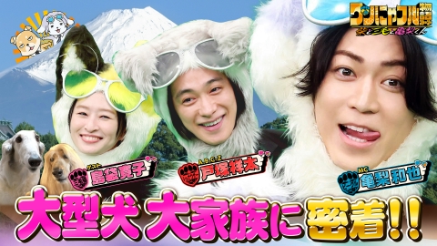 世界を救う！ワンにゃフル物語～柴と三毛と亀梨くん～ MC：亀梨和也！モフモフ大型犬5匹大家族&保護動物のため自腹2億園長