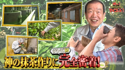 オー！マイゴッド！私だけの神様、教えます 世界的ブームの「抹茶」作りに完全密着▼シェイカーで簡単冷抹茶