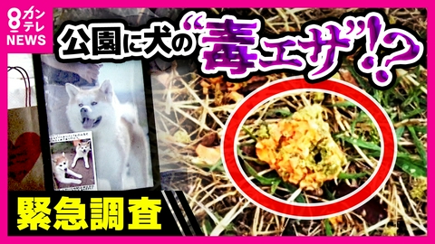 newsランナー 【調査】「大阪南部に“毒だんご”」SNSで投稿相次ぐ　公園に犬の“毒エサ”疑惑　「目線を外した時にはもうムシャムシャ」愛犬が“毒エサ”を食べて死亡？飼い主が涙ながらに語る
