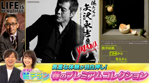 3つ星エンタメガイド ミテラン ミテラン・春のプレミアムコレクション！