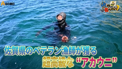 魚が食べたい！ ～地魚さがして3000港～ 呼子のイカと超レアなアカウニ！AIを使って漁!?