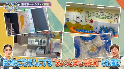 推しエンタＴＶ 2026年9月14日放送分