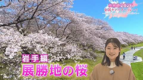 桜前線2026 全国キャスターリレー！ ～伝えたい！ふるさとの桜スポット～ 岩手編「展勝地の桜」