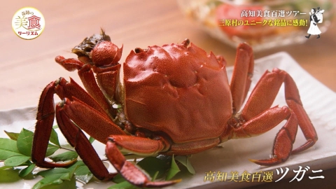 ネイチャーワールド高知　奇跡の美食ツーリズム #24