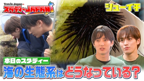 シューイチ 7月5日(土)放送分 海の生態系はどうなっている