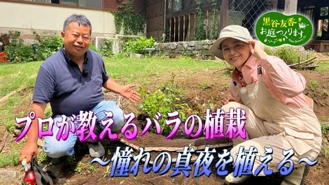 黒谷友香、お庭つくります 第66回「プロが教えるバラの植栽～憧れのプロが教えるバラの植栽～憧れの真夜を植える〜」