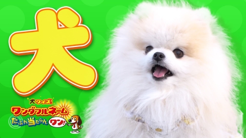 発見！仰天！！プレミアもん！！！ 土曜はダメよ！ 6月8日(土)放送分