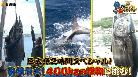 魚が食べたい！ ～地魚さがして3000港～ 巨大魚2時間スペシャル！番組最大！400キロの怪物に挑む！