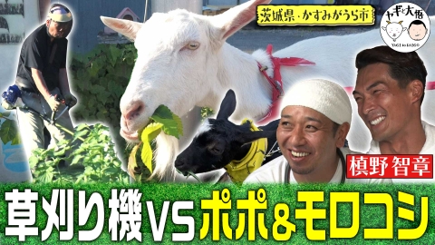 ヤギと大悟 11月3日(金)放送分 茨城かすみがうら編＃4 元東証勤務の