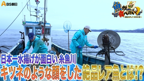 魚が食べたい！ ～地魚さがして3000港～ 4月30日(水)放送分 シケ