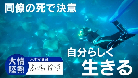情熱大陸 ＃1256「水中写真家・高橋怜子」