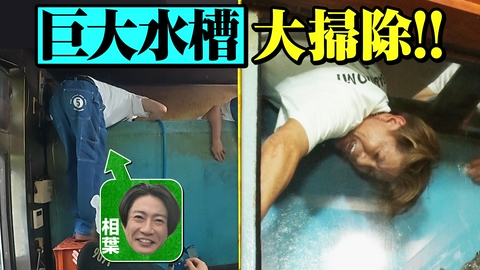 相葉ヒロミのお困りですカー？ 相葉ヒロミVS巨大水槽・神の庭園・牛舎