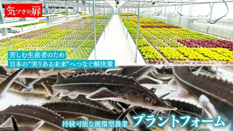 気づきの扉 プラントフォーム