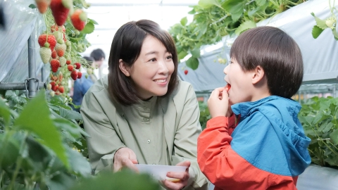 婚活食堂 第9話 飯蛸は静かに笑う（前編）