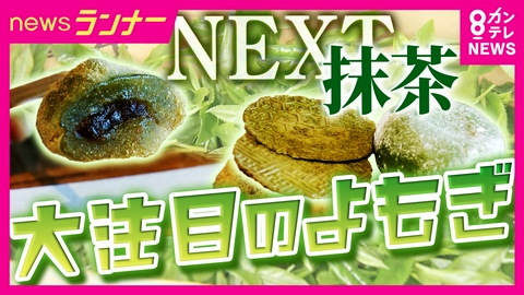 newsランナー 世界的ブーム・抹茶の次は「ヨモギ」が来る？　「去年の春から急にざわざわ」　なぜヨモギが注目されるのか