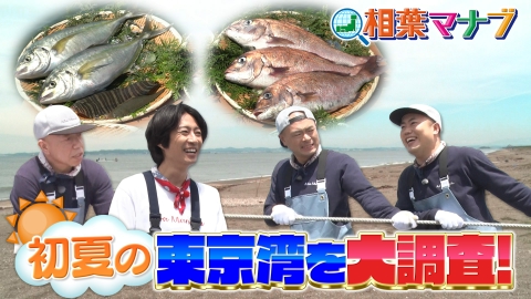 相葉マナブ 6月30日(日)放送分 マナブ！初夏の東京湾で何が獲れるか大
