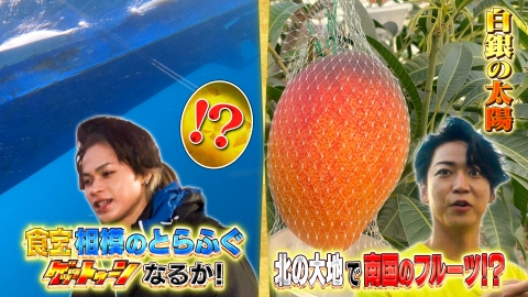 亀梨和也　出演作品　DVD5点 DMM TV】亀梨和也さん出演！新TVCM 非常識コスパ篇 インver／15