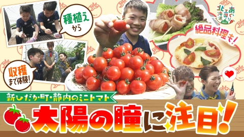 あぐり王国北海道NEXT 5月31日(土)放送分 新ひだか町・静内の絶品ミニ