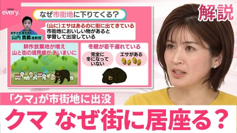 日テレNEWSセレクト 【「クマ」街への出没どうする？】スーパー居座りのクマ捕獲で…「殺さないで」抗議相次ぐ  自治体“丸投げ”で課題も【#みんなのギモン】
