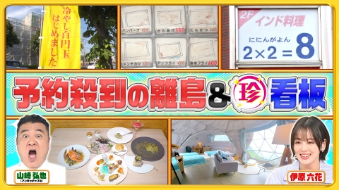 ナニコレ珍百景 9月14日(日)放送分 予約困難…離島でイタリアンフル