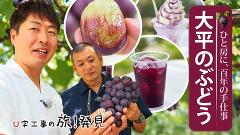 U字工事の旅！発見 大平のぶどう