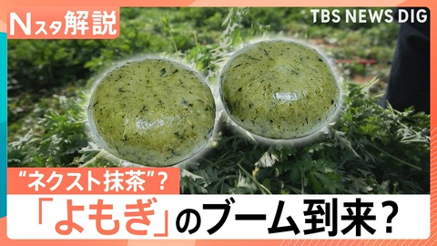 TBS NEWS DIG Powered by JNN よもぎが“ネクスト抹茶”に？【Nスタ】