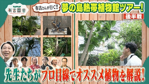 夢が咲く 有吉園芸～Road to start a garden shop～ 有吉さんが行く！植物園散策 後半戦